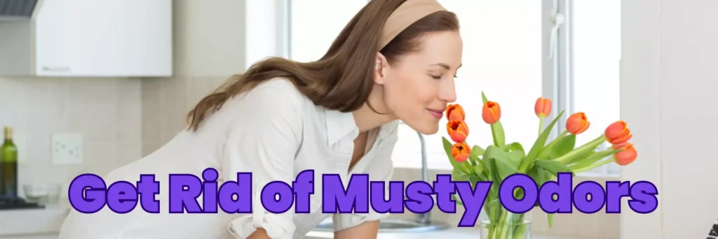 Get Rid of Musty Odors