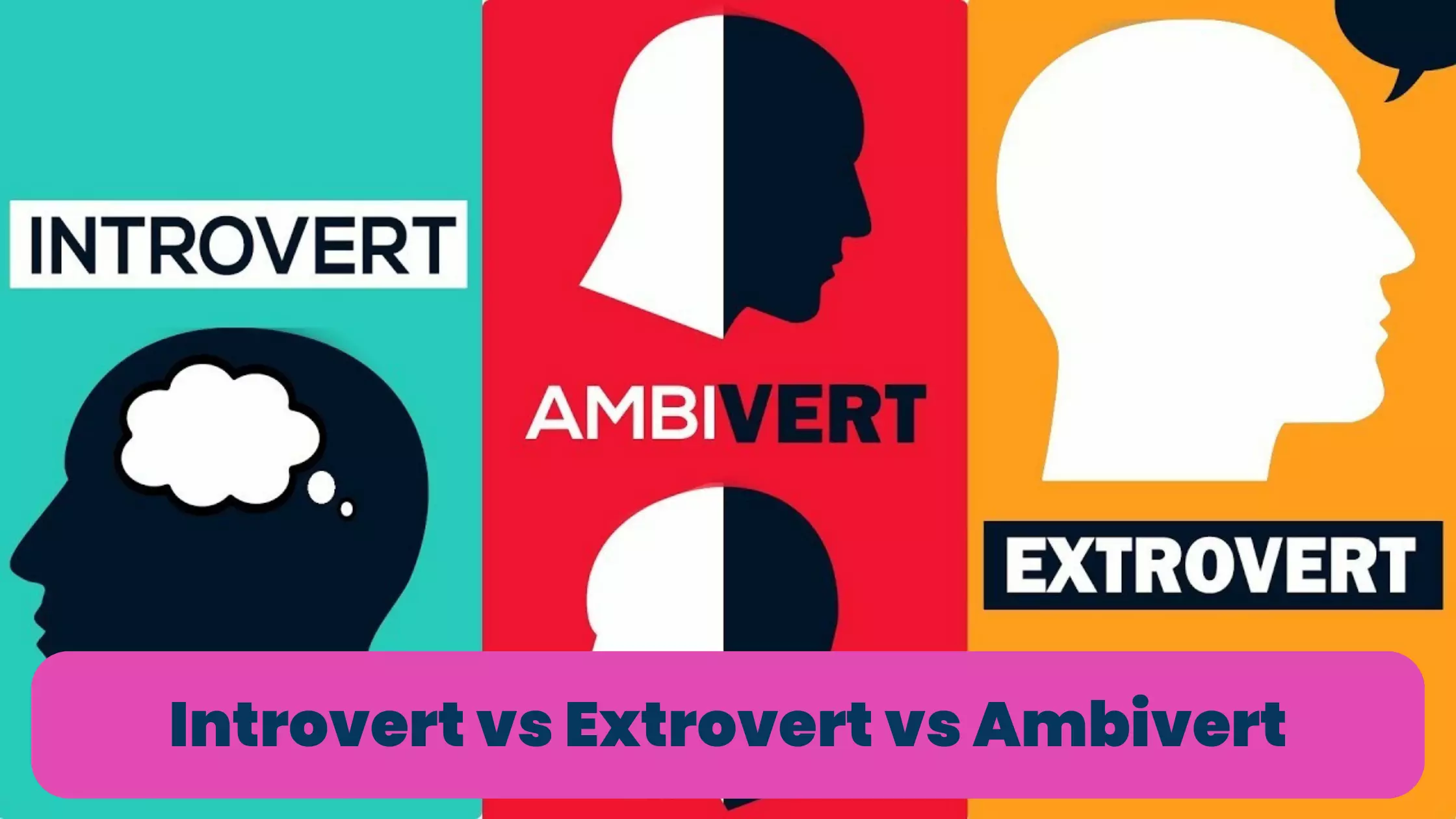Introvert vs Extrovert vs Ambivert