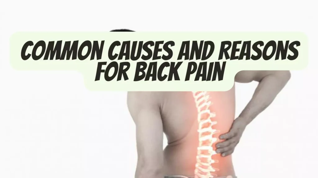Common Causes and Reasons for why you suffer from Back Pain